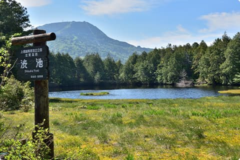 自然の中で静かに過ごしたい人、避暑地を求める人